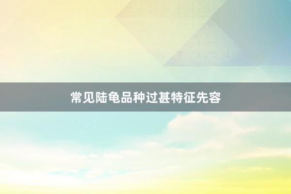 常见陆龟品种过甚特征先容